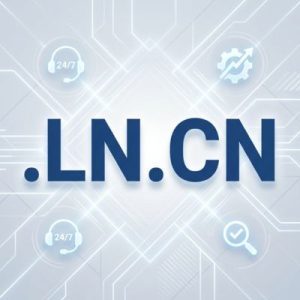 24/7 Technical Support, Strategy, and Expert Assistance- .LN.CN Domain