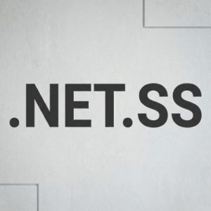 24/7 Technical Support, Strategy, and Expert Assistance- .NET.SS Domains