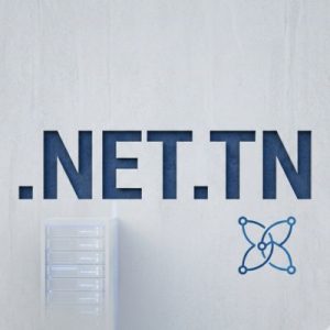 24/7 Technical Support, Strategy, and Expert Assistance - .NET.TN Domains