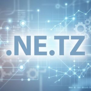 24/7 Technical Support, Strategy, and Expert Assistance- .NE.TZ Domains