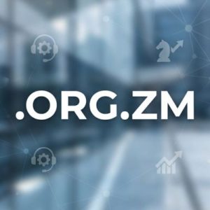24/7 Technical Support, Strategy, and Expert Assistance - .ORG.ZM Domains
