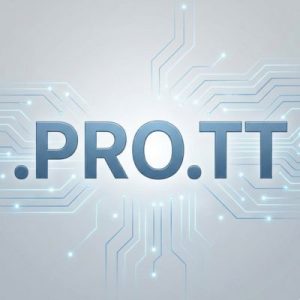 24/7 Technical Support, Strategy, and Expert Assistance- .PRO.TT Domains