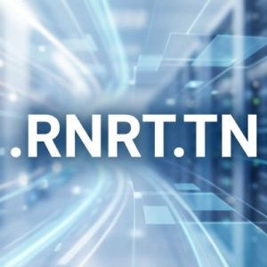 24/7 Technical Support, Strategy, and Expert Assistance .RNRT.TN Domains