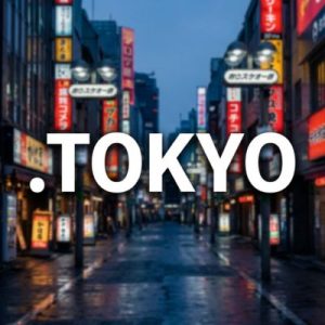 24/7 Technical Support, Strategy, and Expert Assistance- .TOKYO Domain