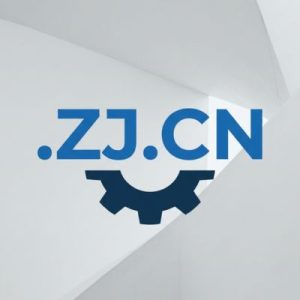 24/7 Technical Support, Strategy, and Expert Assistance- .ZJ.CN Domains
