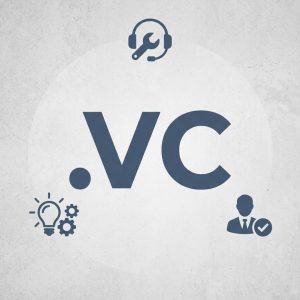 24/7 Technical Support, Strategy, and Expert Assistance of .VC Domain Name