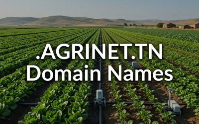 .AGRINET.TN Domain Names