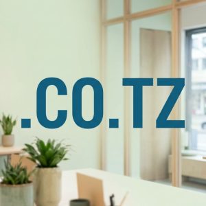 Accredited and Authorized .CO.TZ Domain Registrars