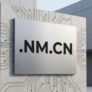 Accredited and Authorized .NM.CN Domain Registrars