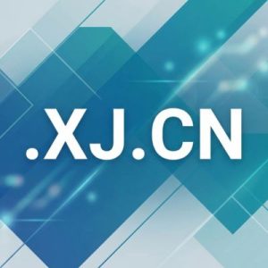 Accredited and Authorized .XJ.CN Domain Registrars