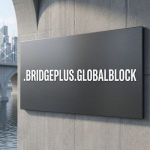 Advantages of Hosting Your .BRIDGEPLUS.GLOBALBLOCK Domain with Hiya Digital