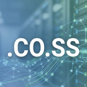 Advantages of Hosting Your .CO.SS Domain with Hiya Digital