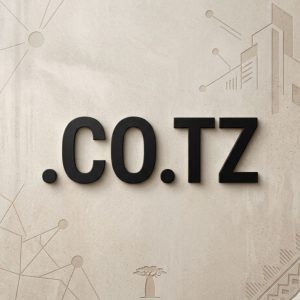 Advantages of Hosting Your .CO.TZ Domain with Hiya Digital