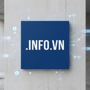 Advantages of Hosting Your .INFO.VN Domain with Hiya Digital