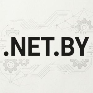 Advantages of Hosting Your .NET.BY Domain with Hiya Digital