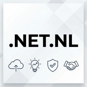 Advantages of Hosting Your .NET.NL Domain with Hiya Digital