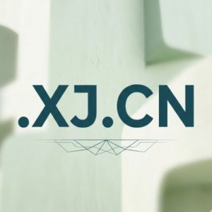 Advantages of Hosting Your .XJ.CN Domain with Hiya Digital