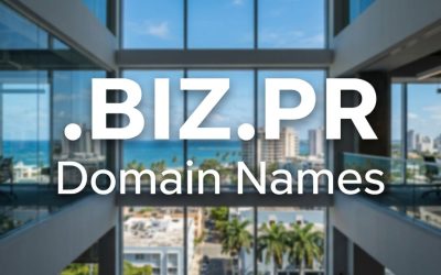 .BIZ.PR Domain Names