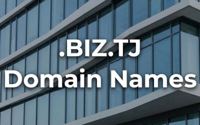 .BIZ.TJ Domain Names