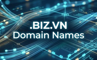 .BIZ.VN Domain Names