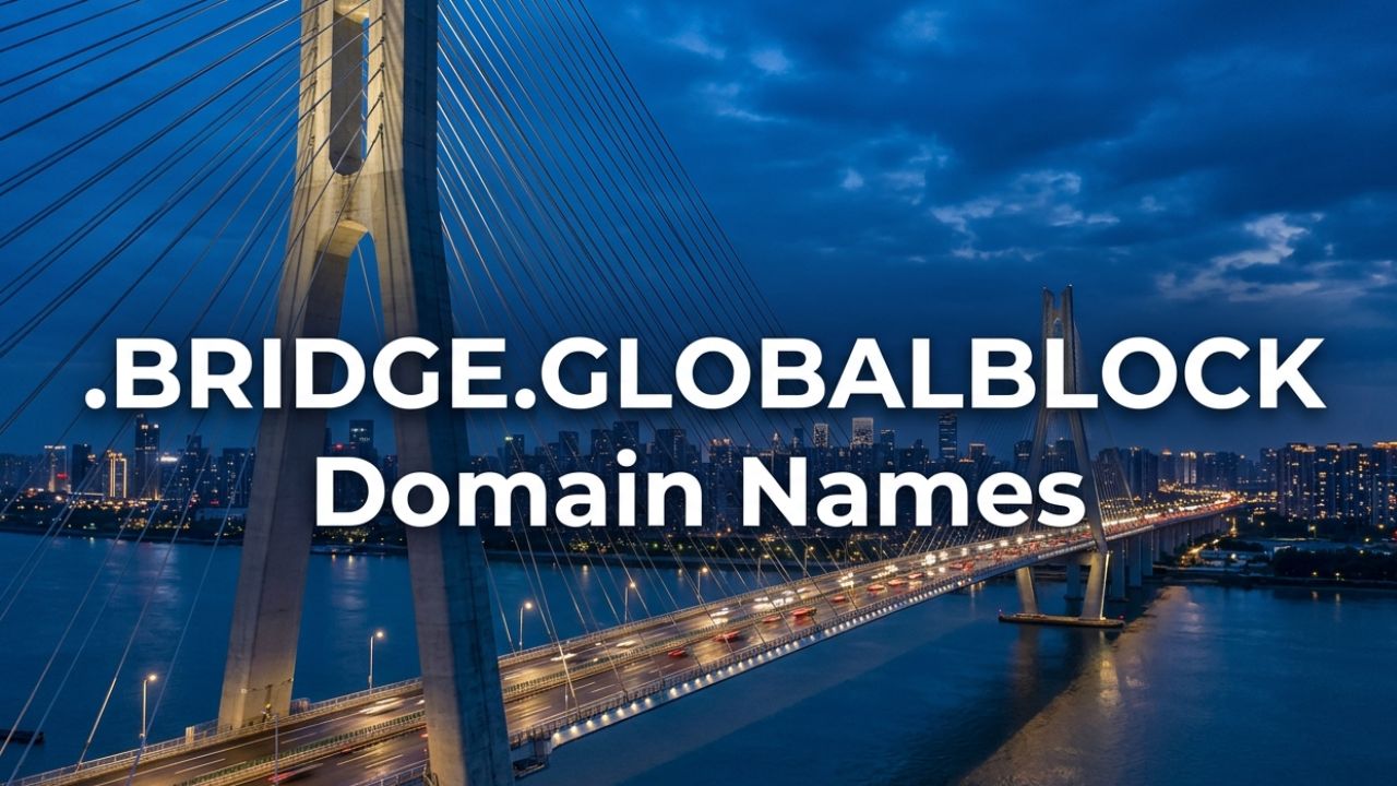 .BRIDGE.GLOBALBLOCK Domain Names
