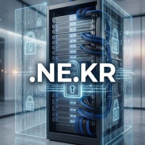 Built-in Security and Protection Features .NE.KR Domain