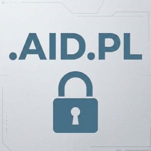 Built-in Security and Protection Features of .AID.PL Domains