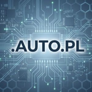 Built-in Security and Protection Features of .AUTO.PL Domains