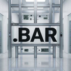 Built-in Security and Protection Features of .BAR Domains