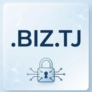 Built-in Security and Protection Features of .BIZ.TJ Domain