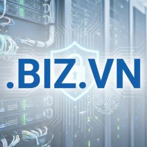 Built-in Security and Protection Features of .BIZ.VN Domains