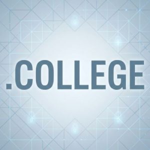 Built-in Security and Protection Features of .COLLEGE Domains