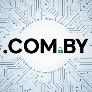 Built-in Security and Protection Features of .COM.BY Domains