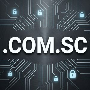 Built-in Security and Protection Features of .COM.SC Domains