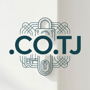 Built-in Security and Protection Features of .CO.TJ Domains