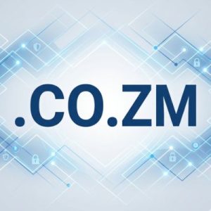 Built-in Security and Protection Features of .CO.ZM Domains