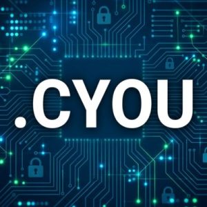 Built-in Security and Protection Features of .CYOU Domain
