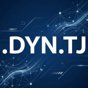 Built-in Security and Protection Features of .DYN.TJ Domains