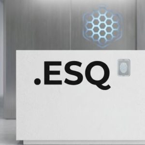 Built-in Security and Protection Features of .ESQ Domains