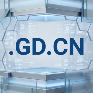 Built-in Security and Protection Features of .GD.CN Domain
