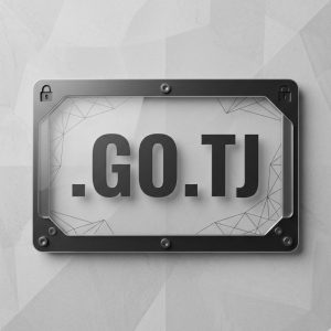 Built-in Security and Protection Features of .GO.TJ Domains