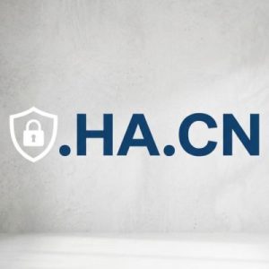 Built-in Security and Protection Features of .HA.CN Domain