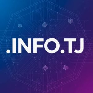 Built-in Security and Protection Features of .INFO.TJ Domain