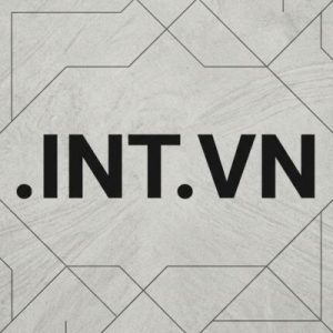 Built-in Security and Protection Features of .INT.VN Domains
