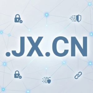 Built-in Security and Protection Features of .JX.CN Domains