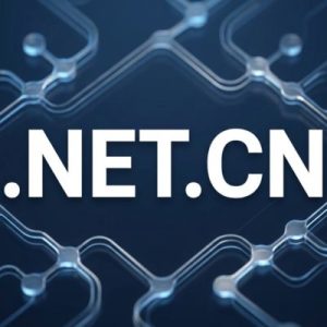 Built-in Security and Protection Features of .NET.CN Domain
