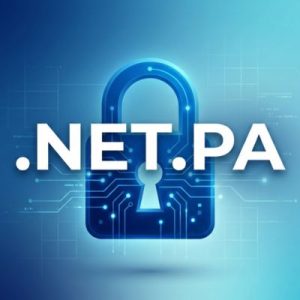 Built-in Security and Protection Features of .NET.PA Domains