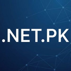 Built-in Security and Protection Features of .NET.PK Domains