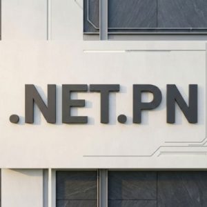 Built-in Security and Protection Features of .NET.PN Domains