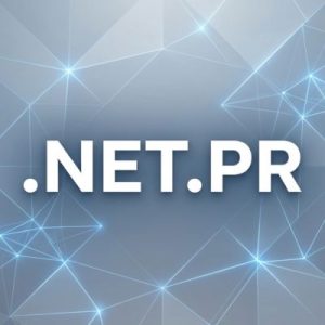 Built-in Security and Protection Features of .NET.PR Domains